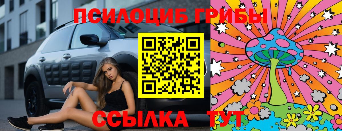 цена   Псилоцибиновые грибы Psilocybine cubensis  Вход с VPN  Видное 